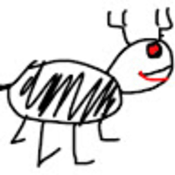 Meet your Posher, Conner - Picture 1 of 1